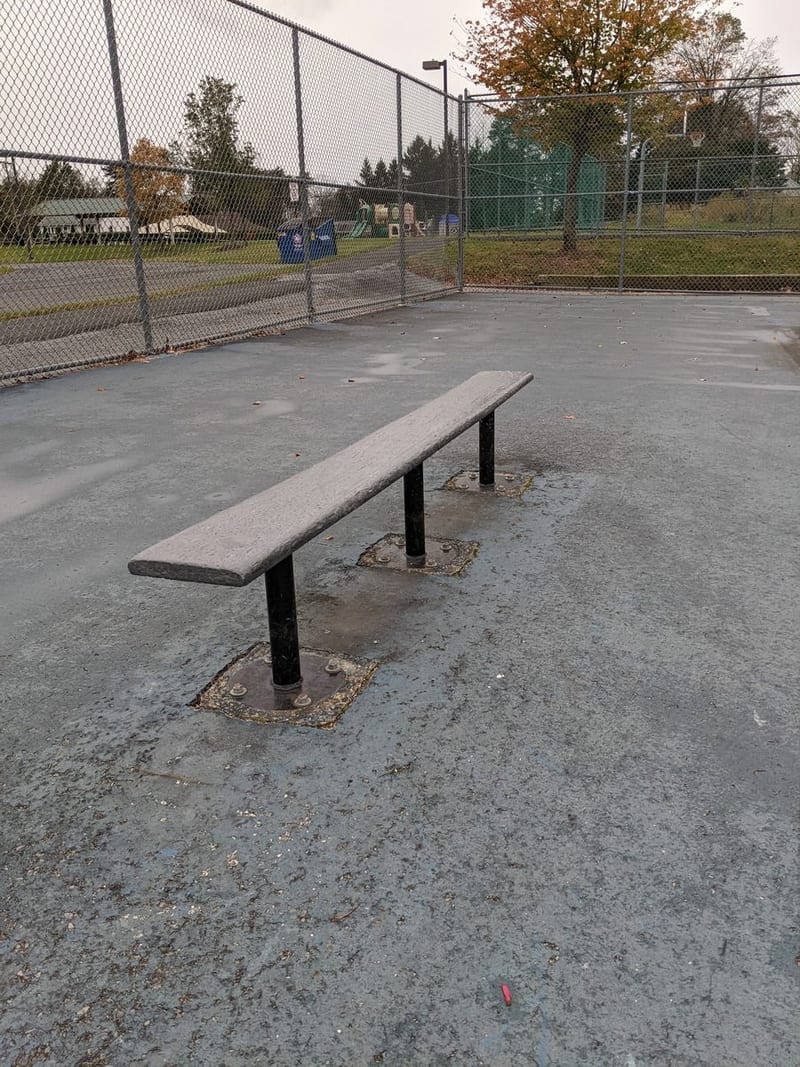 Pineland Skatepark photo 3